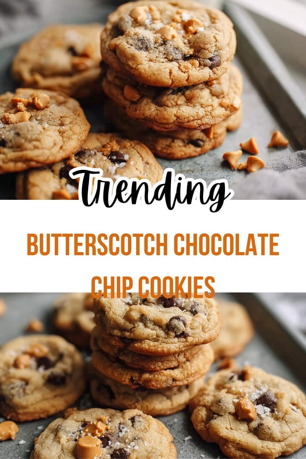 Butterscotch Chocolate Chip Cookies