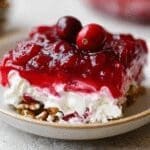 Cranberry Pretzel Salad 56.png
