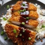 Pork Katsu 23.png