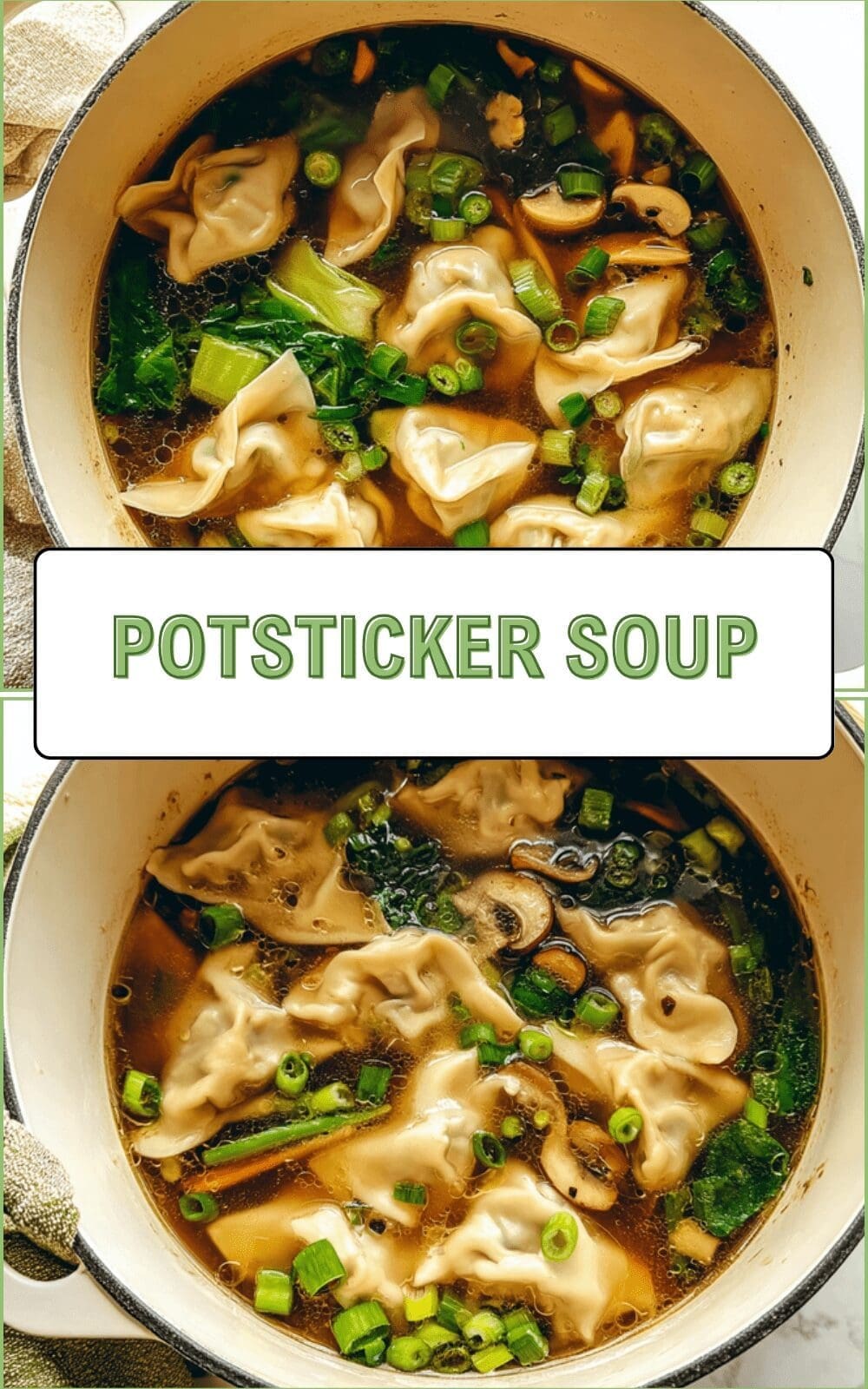 Potsticker Soup