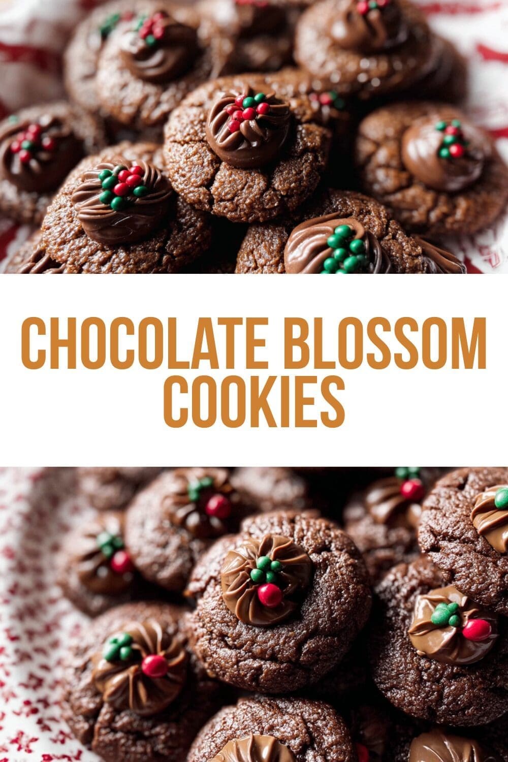 Chocolate Blossom Cookies